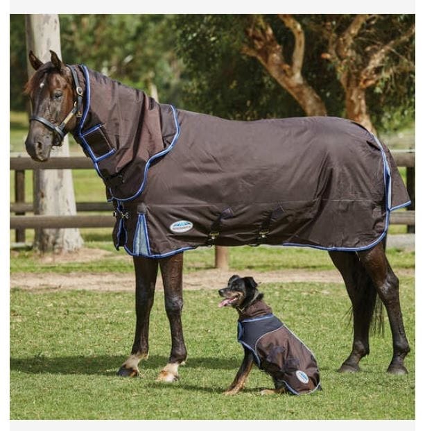 Weatherbeeta overgangsdeken 100 gram Comfitec Ultra Cozi II Detach-a-neck medium/lite